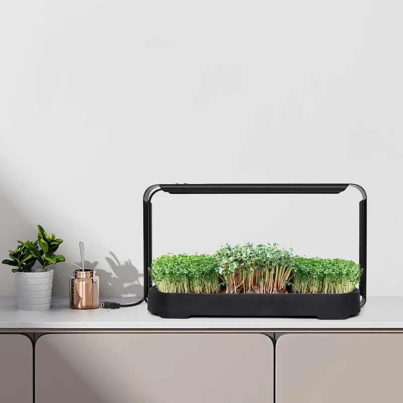 Système de culture hydroponiqu - Self Watering Planter avis et prix