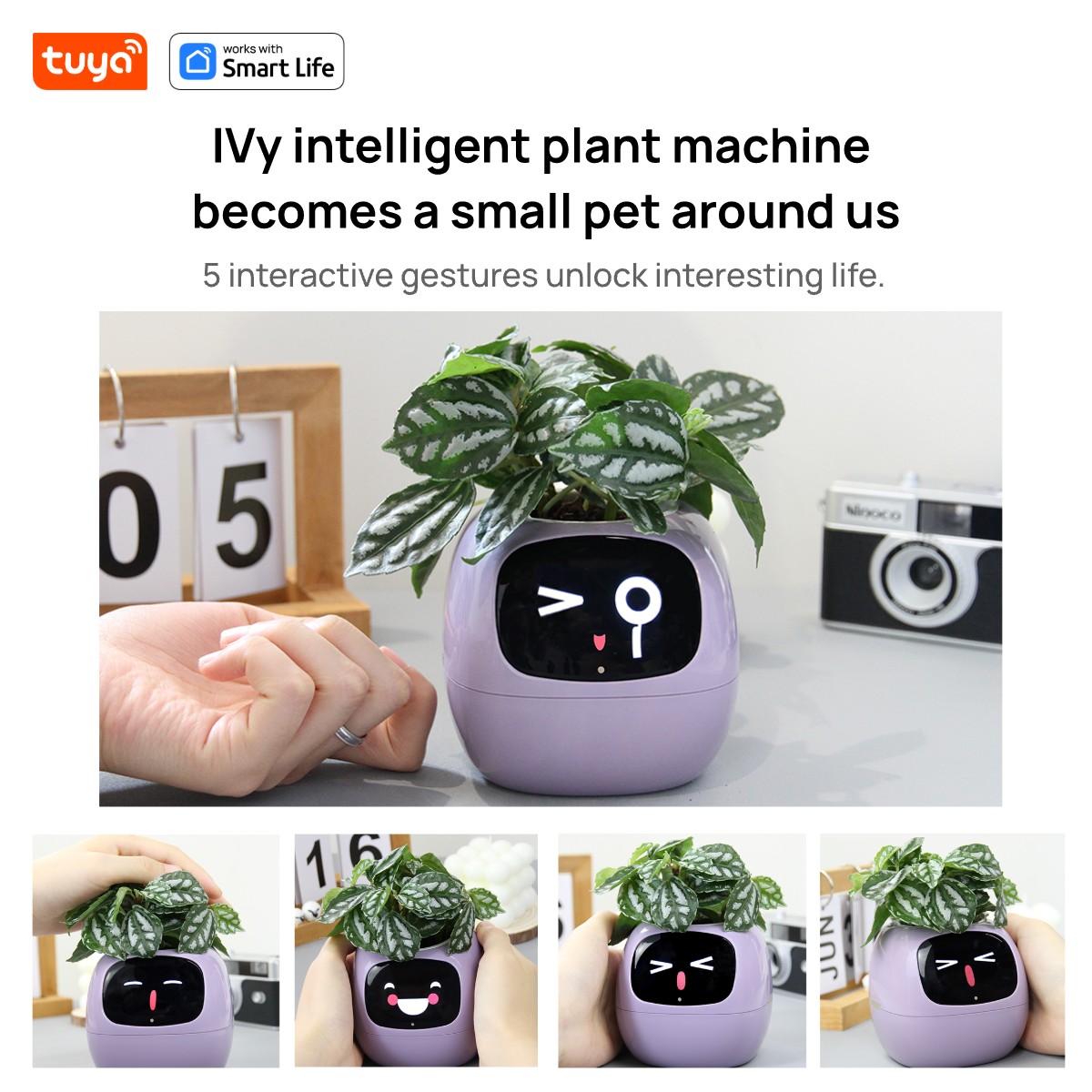 Tuya Ivy-Communautés teur inte - Smart Pot avis et prix