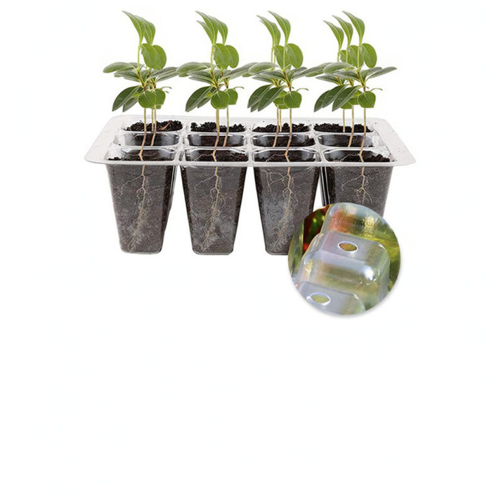 Kit de démarrage pour lampes d - Indoor Garden Kit avis et prix