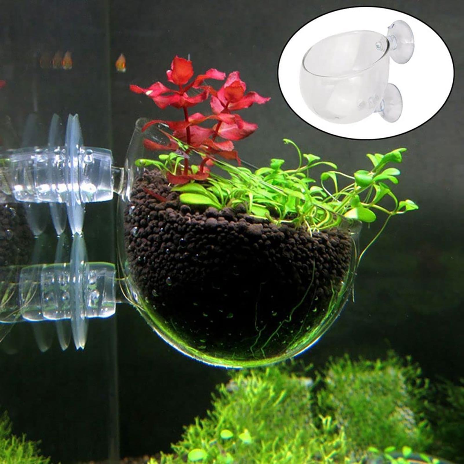 Pot de plantes aquatiques en a - Hydroponic Grow Pod avis et prix
